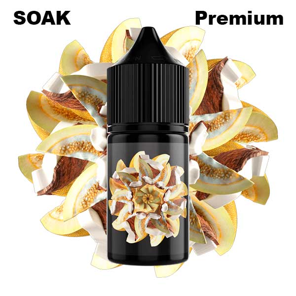 Жидкость SOAK L Salt - Melon Coconut 30мл (20mg) (Premium)