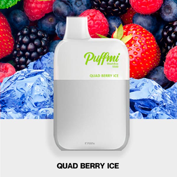 Одноразовая ЭС PuffMi DX5000 MeshBox - Quad Berry (Ягодный микс)