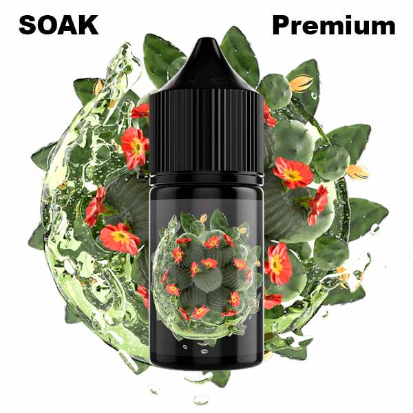 Жидкость SOAK L Salt - Cactus Lemonade 30мл (20mg) (Premium) (2)