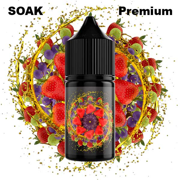 Жидкость SOAK L Salt - Fruit Blast 30мл (20mg) (Premium) (2)